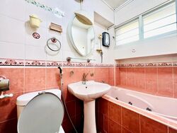 pasir-ris-street-71 photo thumbnail #14